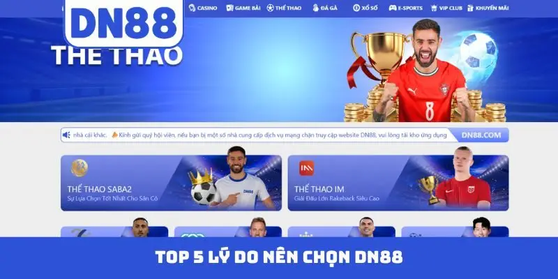Top 5 Lý Do Nên Chọn DN88